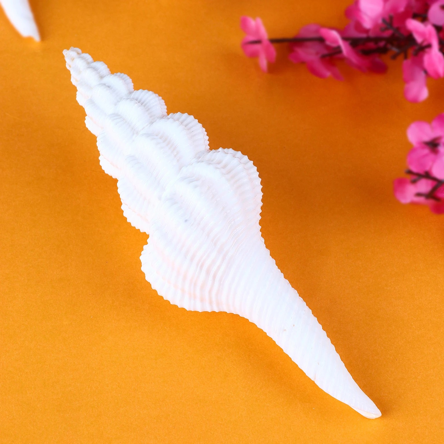 Decorative White Sea Shell Showpiece | Coastal Home Decor Accent | Handmade Look Resin Shell