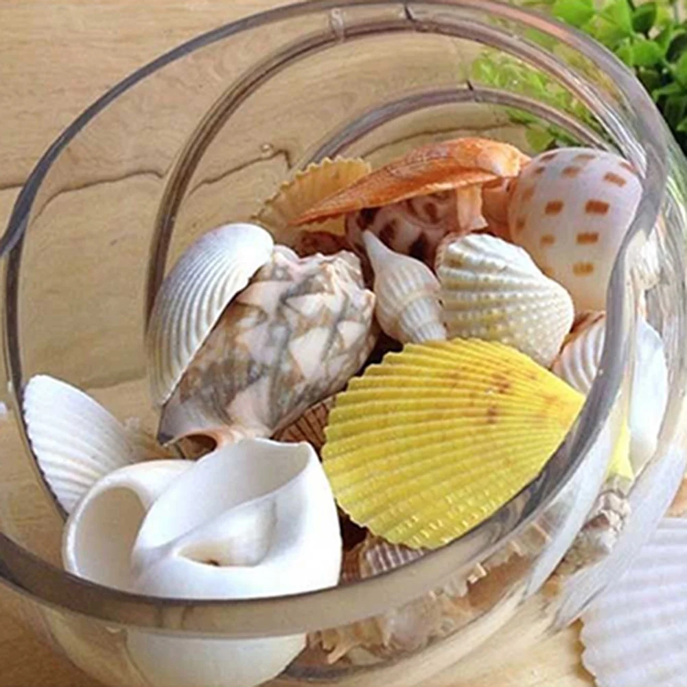 Mixed Sea shells